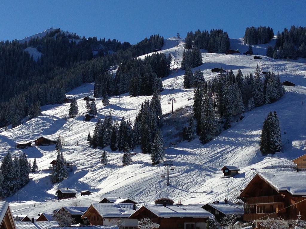 Chalet Butterfly Adelboden Room photo